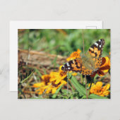 Dame Butterfly, geverfd op het Zinnia-Briefkaart Briefkaart (Voorkant / Achterkant)
