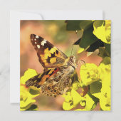Dame Butterfly, geverfd op Myrtle Spurge Kaart (Voorkant)