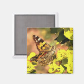 Dame Butterfly, geverfd op Myrtle Spurge Magneet (Voorkant / Achterkant)