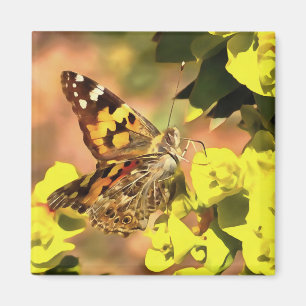 Dame Butterfly, geverfd op Myrtle Spurge Magneet