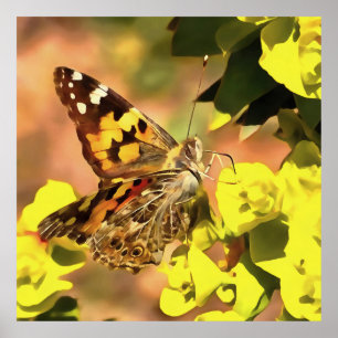 Dame Butterfly, geverfd op Myrtle Spurge Poster