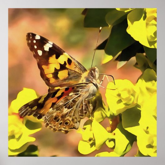 Dame Butterfly, geverfd op Myrtle Spurge Poster (Voorkant)