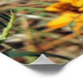 Dame Butterfly in Zinnia Print (Hoek)