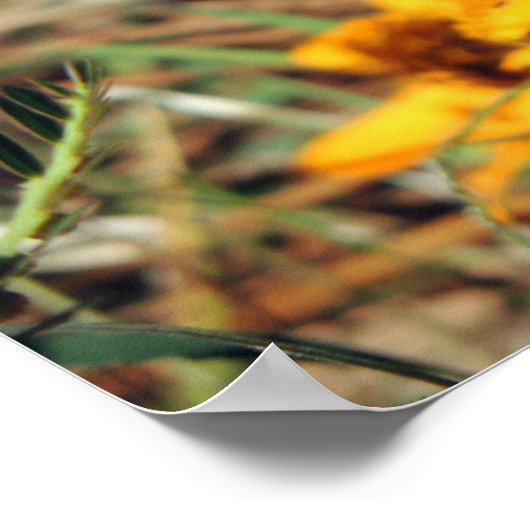 Dame Butterfly in Zinnia Print (Hoek)