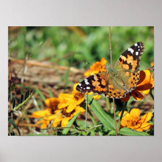 Dame Butterfly in Zinnia Print (Voorkant)