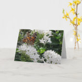 Dame Butterfly Kaart (Gele Bloem)