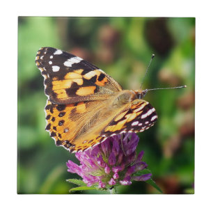 Dame Butterfly-keramische foto-tegel Tegeltje