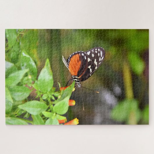 Dame Butterfly. Legpuzzel (Horizontaal)