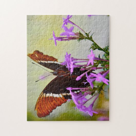 Dame Butterfly. Legpuzzel (Verticaal)