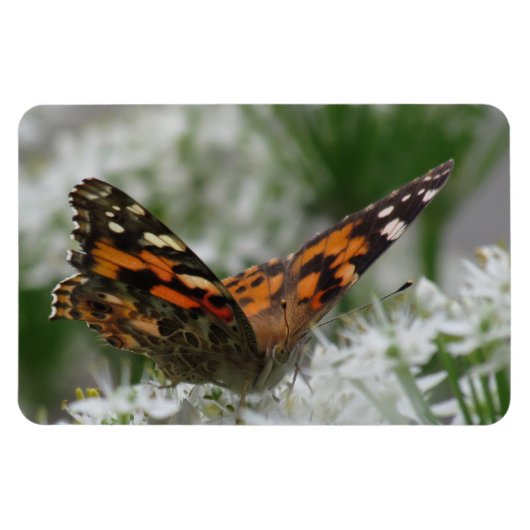 Dame Butterfly Magneet (Horizontaal)