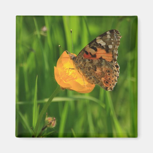 Dame Butterfly Magneet (Voorkant)