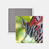 Dame Butterfly Magneet (Voorkant / Achterkant)