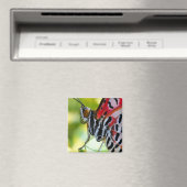 Dame Butterfly Magneet (Insitu (Vaatwasser))
