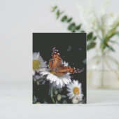 Dame Butterfly op het Briefkaart van Daisy (Staand voorkant)