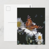 Dame Butterfly op het Briefkaart van Daisy (Voorkant / Achterkant)