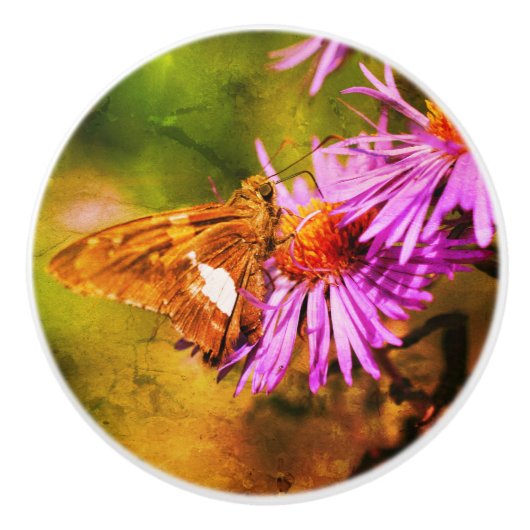 Dame Butterfly Wild Aster Flower Abstract Keramische Knop (Voorkant)