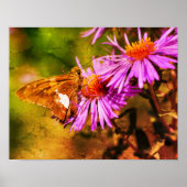 Dame Butterfly Wild Aster Flower Abstract Poster (Voorkant)