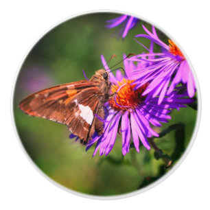 Dame Butterfly Wild Aster Flower Keramische Knop