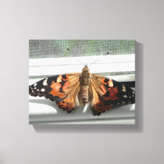 Dame Butterfly Wrapped Canvas (Voorkant)