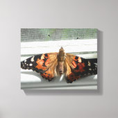 Dame Butterfly Wrapped Canvas Afdruk (Voorkant)