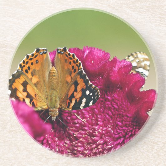 Dame Butterfly Zandsteen Onderzetter (Voorkant)