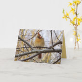 Dame C Kaart (Gele Bloem)