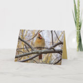 Dame C Kaart (Voorkant)