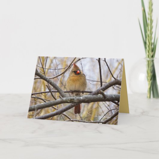 Dame C Kaart (Voorkant)