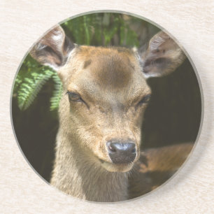 Dame coaster zandsteen onderzetter