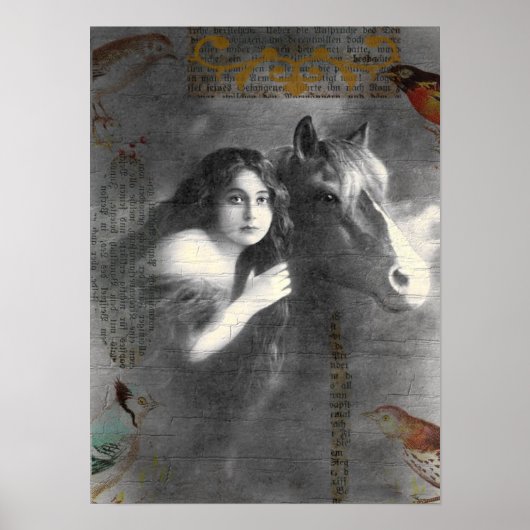  dame en paardencollage poster (Voorkant)