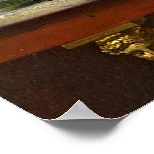  dame in roze Oranje dress & roze Rose Poster (Hoek)