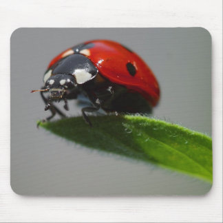 Dame, maar aan de rand van leder muismat