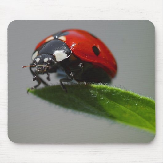 Dame, maar aan de rand van leder muismat (Voorkant)