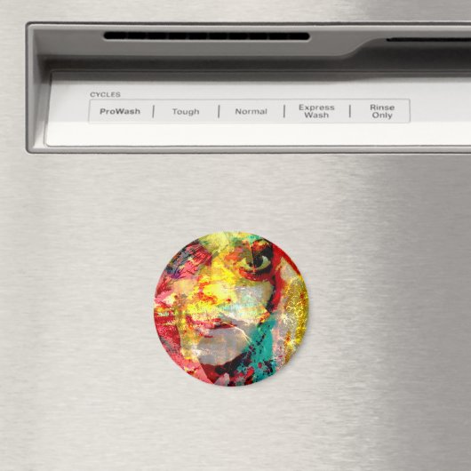 dame magneet (Insitu (Vaatwasser))