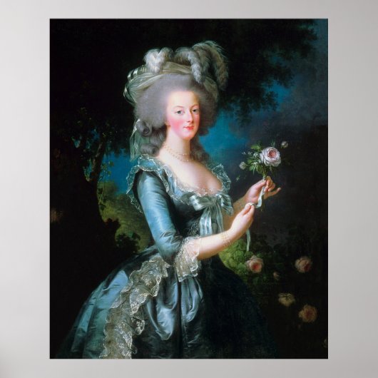 dame Marie Antoinette met roze roze roze roze roz Poster (Voorkant)