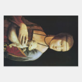 Dame met de hermelijn van Leonardo da Vinci Inpakpapier Vel (Voorkant 2)