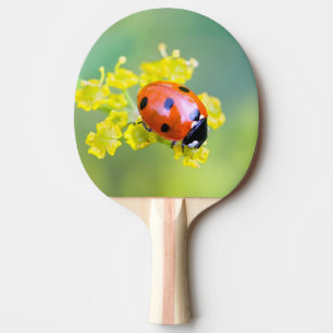 dame op bovenkant tafeltennisbatje
