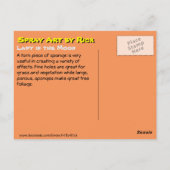 Dame op de maan briefkaart (Achterkant)