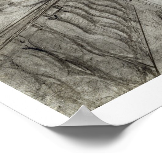 Dame op een Terrace die een Plant van de anjer bui Poster (Hoek)