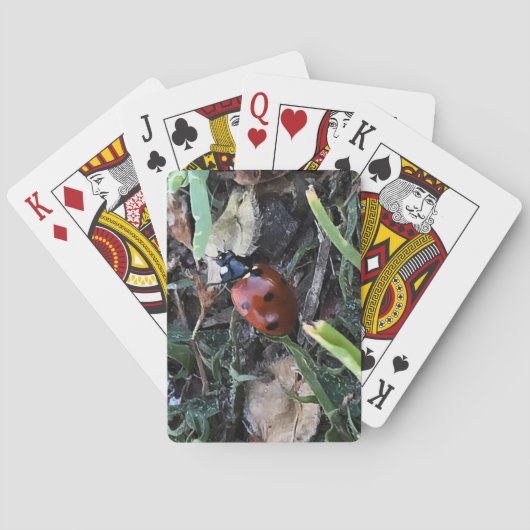 Dame Pokerkaarten (Achterkant)