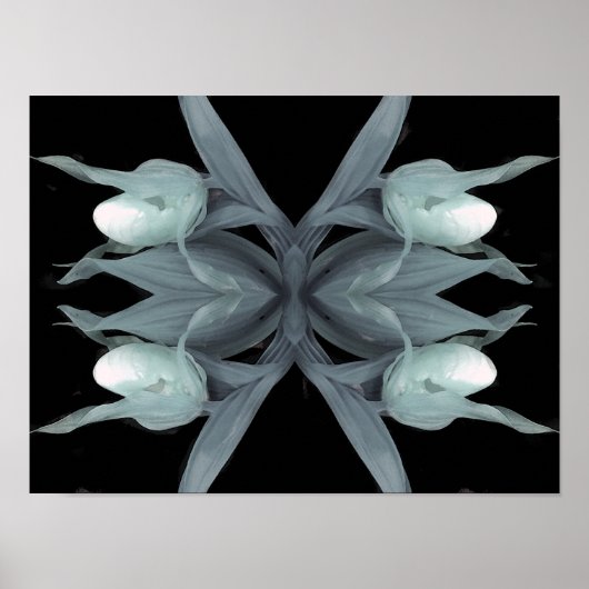 Dame slipper orchid - Afdruk Poster (Voorkant)
