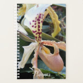 Dame Slipper Orchidee Bloem Planner (Voorkant)