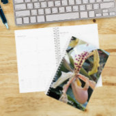Dame Slipper Orchidee Bloem Planner