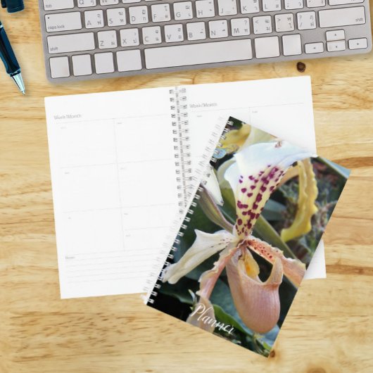 Dame Slipper Orchidee Bloem Planner