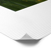 Dame van de dromen - Poster (Hoek)