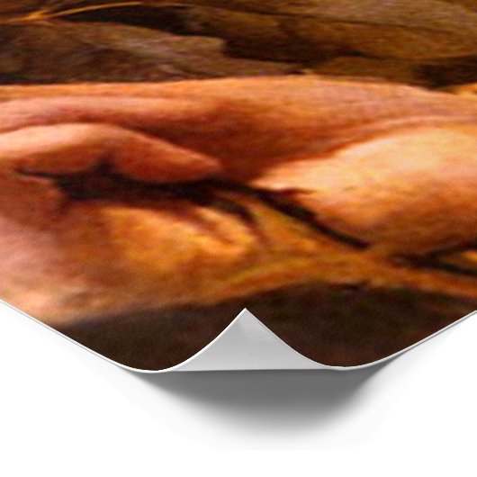 Dame van de Rozen van Franz Dvorak Poster (Hoek)