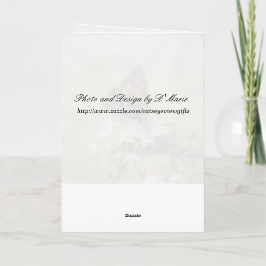 Dame van de schilder op het Wenskaart van Pentas ( Kaart (Achterkant)