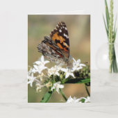 Dame van de schilder op het Wenskaart van Pentas ( Kaart (Voorkant)