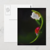 Dame van de vallei briefkaart (Voorkant / Achterkant)