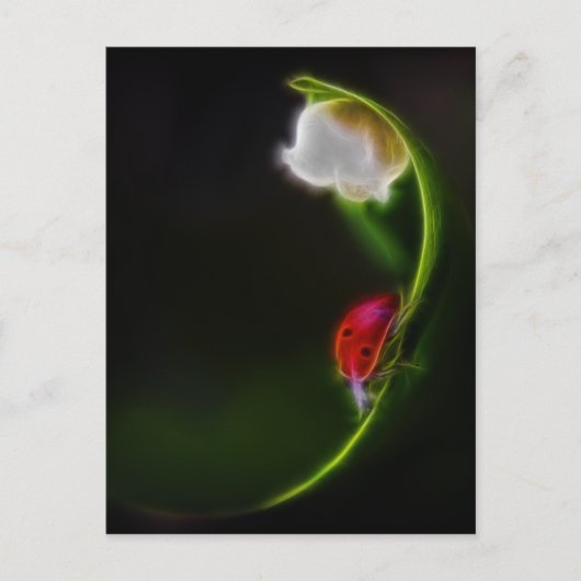 Dame van de vallei briefkaart (Voorkant)